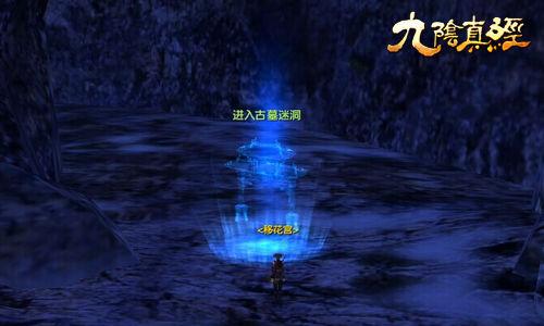 漂亮鹦鹉救援